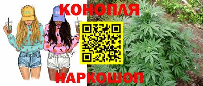 гашик Заволжье